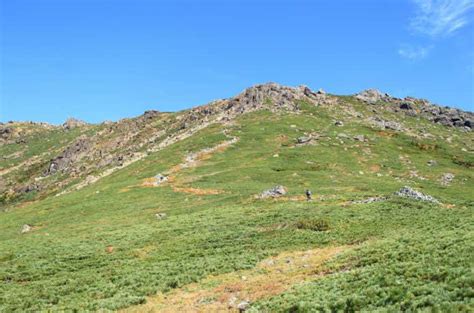 峰種類|早池峰山｜200種類もの高山植物と巨岩のコントラスト！岩手の 